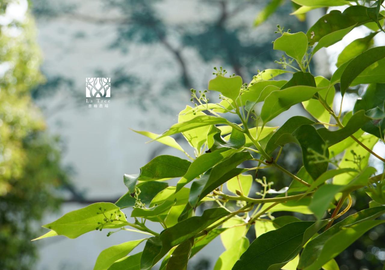 Апартаменти La Tree 普椿農場木子莊園 Донг Хе Екстер'єр фото