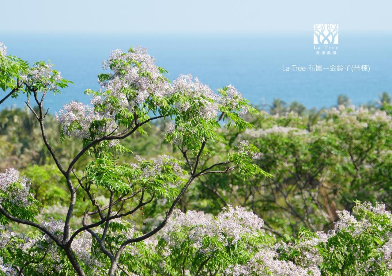 Апартаменти La Tree 普椿農場木子莊園 Донг Хе Екстер'єр фото