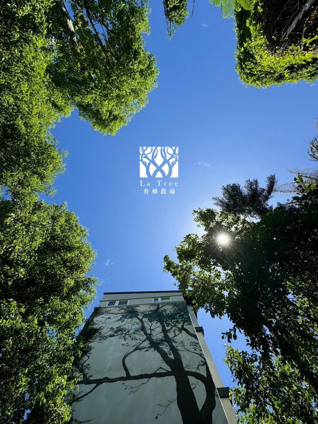 Апартаменти La Tree 普椿農場木子莊園 Донг Хе Екстер'єр фото